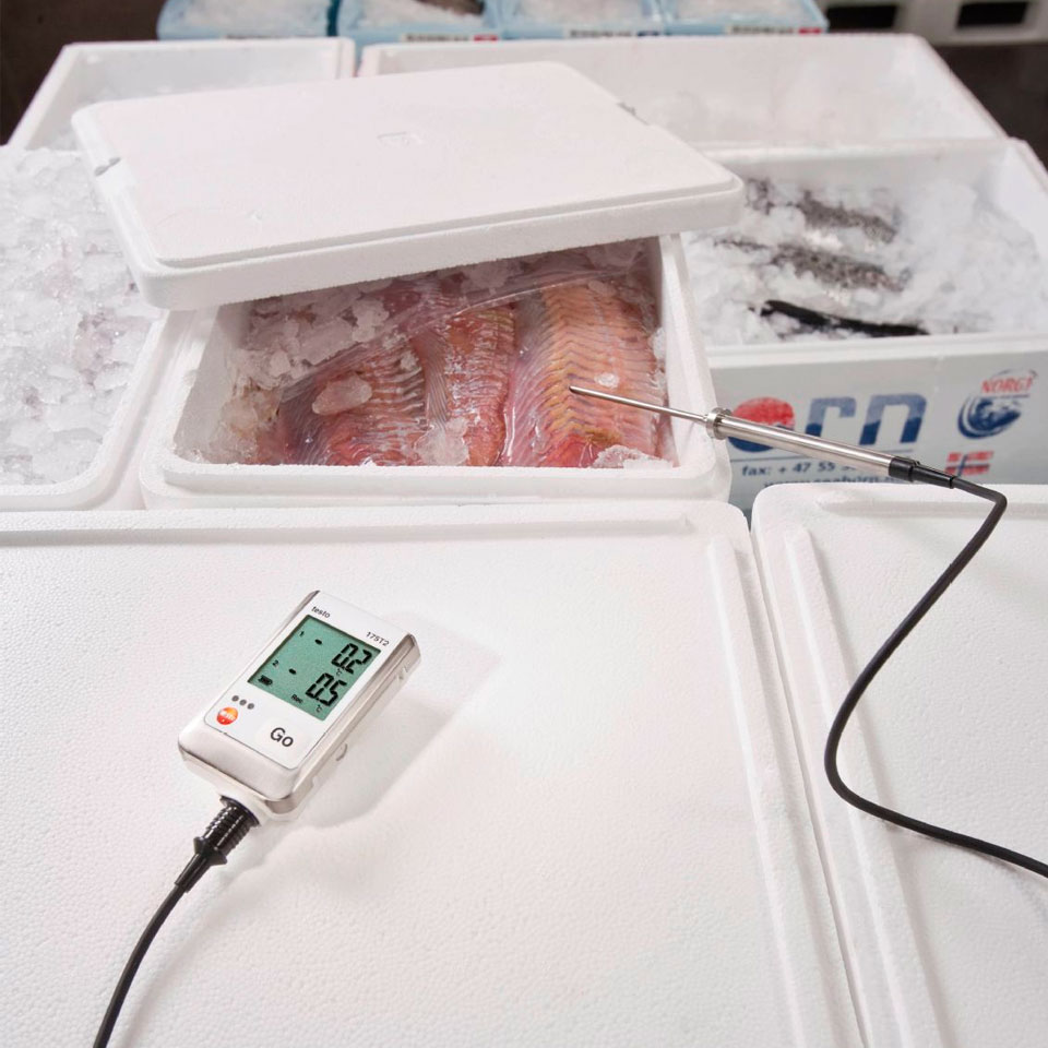 2-канальный логгер данных температуры Testo 175 T2 фото4