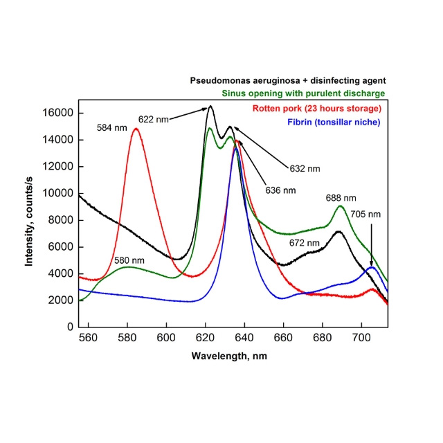 Портативный рамановский анализатор EnSpectr L405 фото6